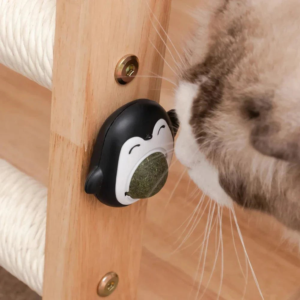 Natural Catnip Grinding Teeth Mint Ball - Devya's Pet Emporium