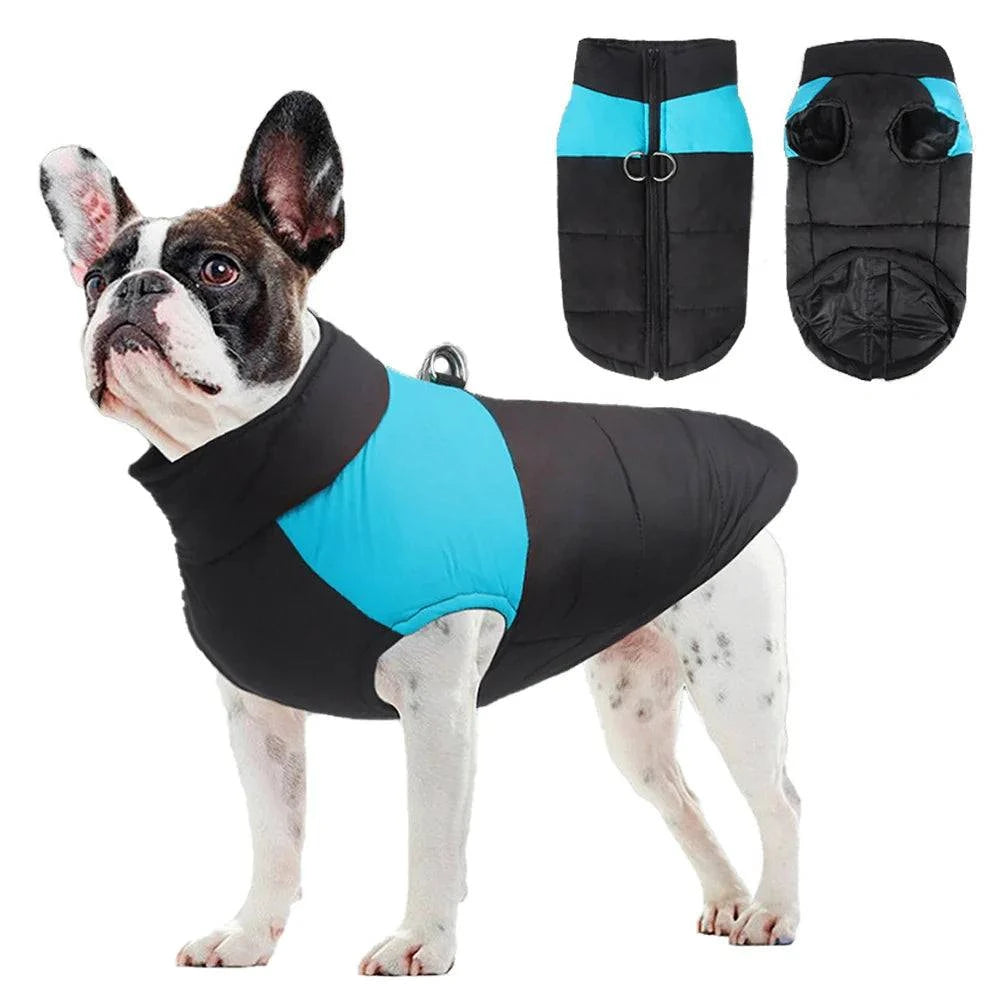Waterproof Winter Dog Clothes - Devya's Pet Emporium