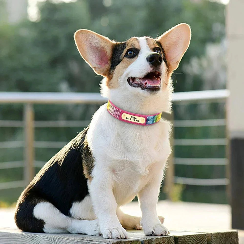  Personalised Bling Customized Anti-Lost Pet ID Collar